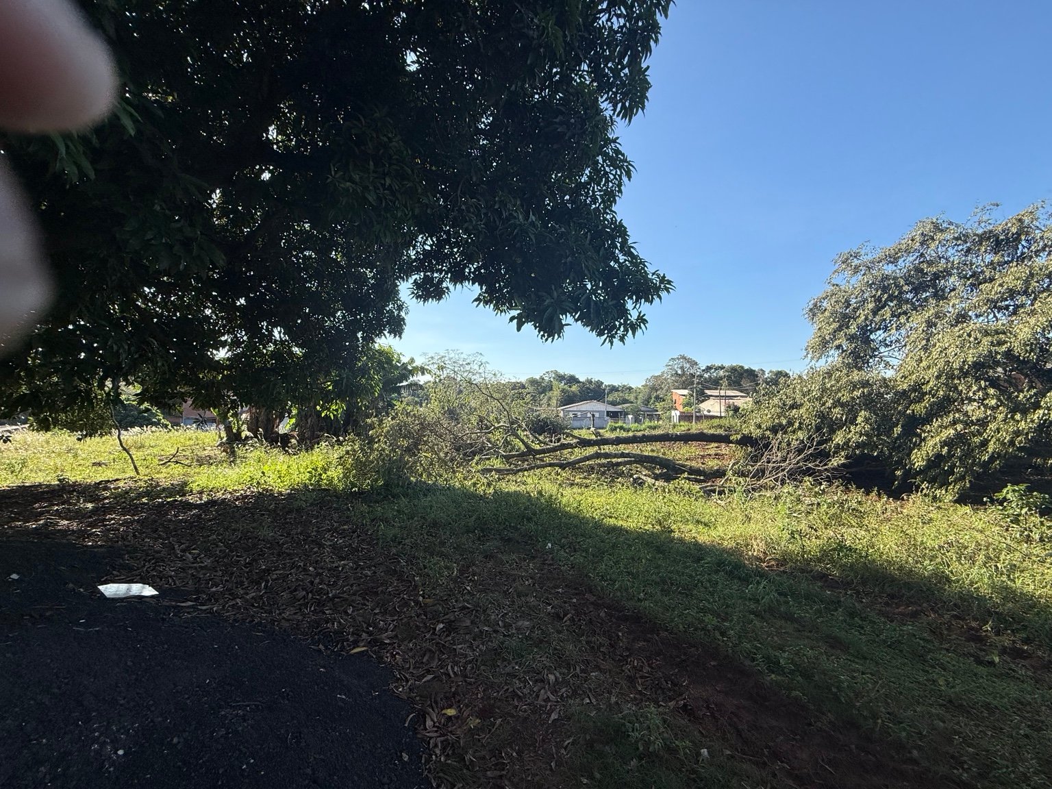 Eco Parque – Loteamento em Foz do Iguaçu com Potencial de Valorização - Vila Carimã